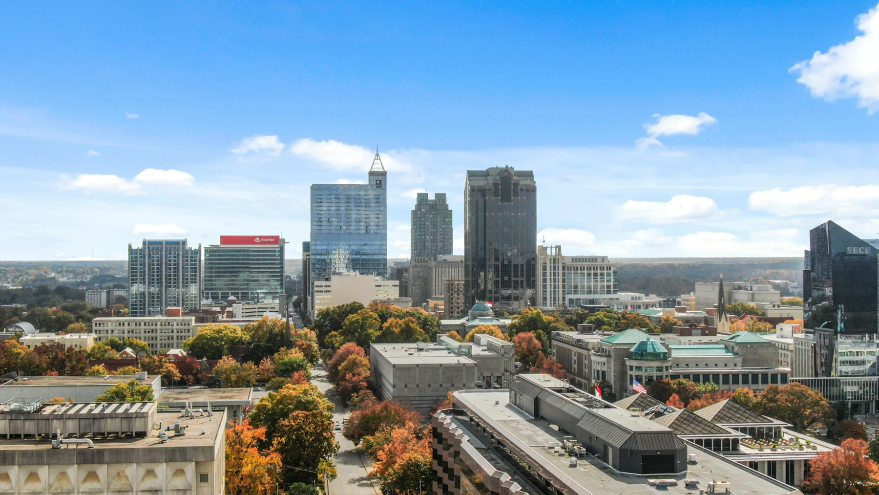 Downtown Raleigh, NC Skyline